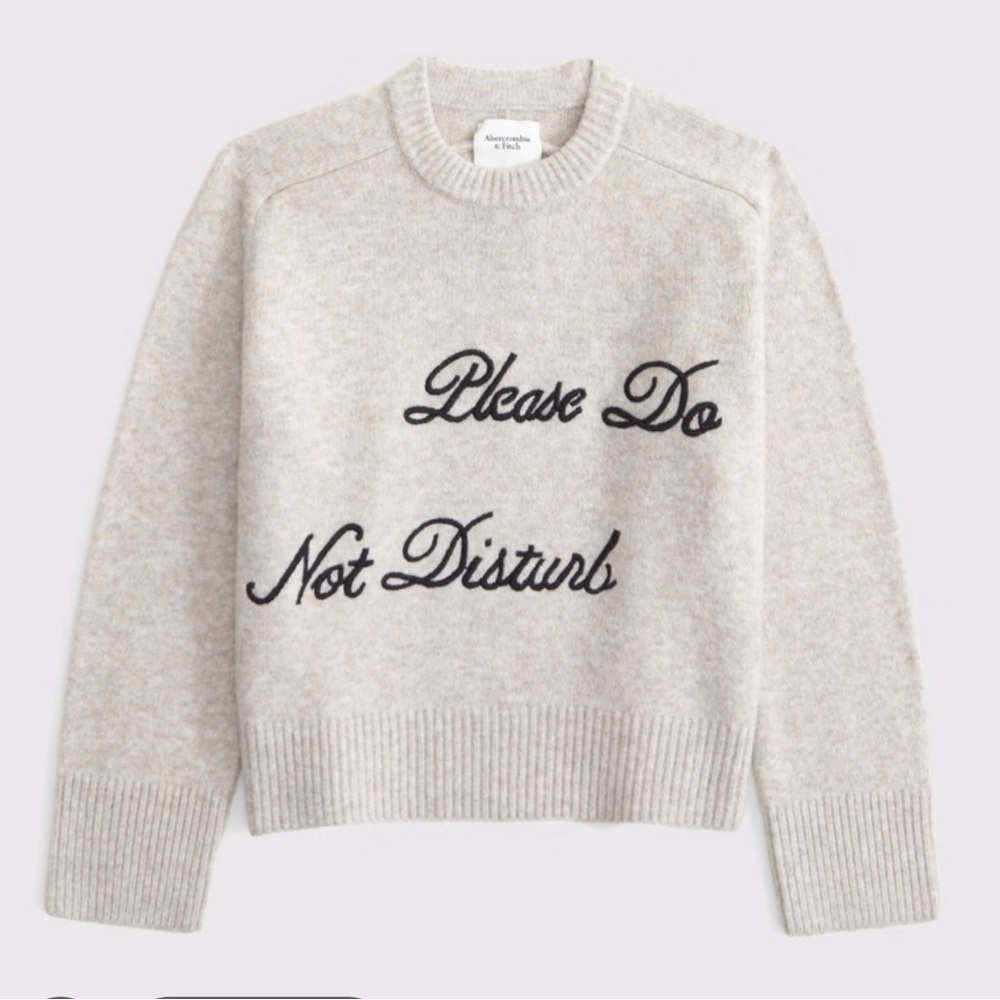 Abercrombie do not disturb Madeline sweater